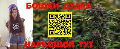 прущие грибы Пушкино