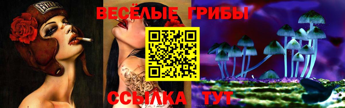 Галлюциногенные грибы GOLDEN TEACHER  Вход с VPN  купить   Павлово 
