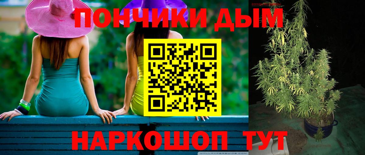 Бошки Шишки ГИДРОПОН  МАРИХУАНА планчик  Вход с VPN  Павлово 