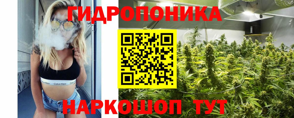 МАРИХУАНА OG Kush Павлово